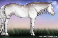 Horse Color:Chocolate Silver Brown Chinchilla Onyx Sabino 