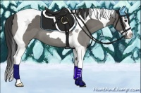 Horse Color:Grullo Roan Splash Tobiano