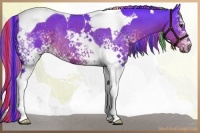 Horse Color:Painted Watercolor White Spotted Liver Chestnut Tobiano Rabicano