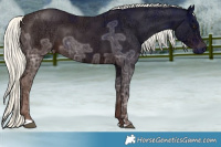 Horse Color:Liver Chestnut Ice Mushroom 