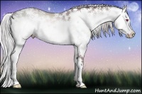 Horse Color:Chocolate Silver Brown Chinchilla Sabino