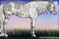 Horse Color:White Spotted Chocolate Palomino Ice Pearl Splash 