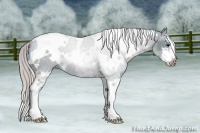 Horse Color:Watercolor White Spotted Silver Black Sabino 