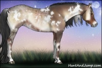 Horse Color:White Spotted Liver Red Onyx Ice