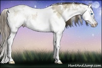 Horse Color:White Spotted Liver Red Dun Ice Splash Rabicano