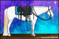 Horse Color:Buckskin Dun Blanket Brindle 