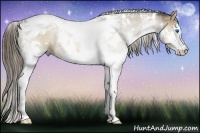 Horse Color:White Spotted Liver Red Dun Splash Tobiano Rabicano 