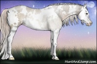 Horse Color:White Spotted Chocolate Palomino Splash Rabicano 