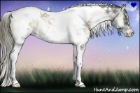 Horse Color:White Spotted Liver Red Onyx Splash Tobiano Rabicano