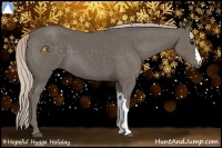 Horse Color:Silver Black 