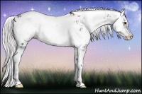 Horse Color:Chocolate Silver Blue Onyx Chinchilla Sabino