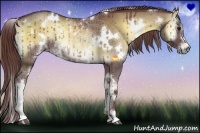 Horse Color:White Spotted Chocolate Smoky Blue Onyx Chinchilla 