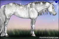Horse Color:White Spotted Silver Grullo Chinchilla Onyx