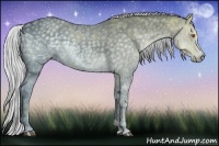 Horse Color:Silver Black Chinchilla Ice