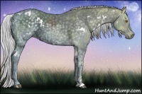 Horse Color:White Spotted Silver Black Chinchilla Ice