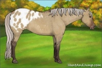 Horse Color:Silver Brown Dun Blanket Brindle