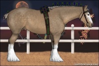 Horse Color:White Spotted Chocolate Palomino 