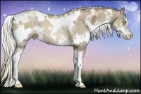 Horse Color:White Spotted Liver Chestnut Ice Pearl Sabino