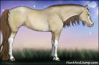 Horse Color:White Spotted Bay Pearl Dun 