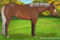 Horse Color:Silver Bay