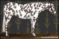 Horse Color:Silver Black Leopard 