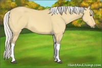 Horse Color:Silver Buckskin Dun Tobiano 