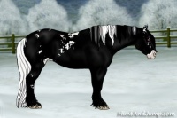 Horse Color:Watercolor Silver Brown Chinchilla Ice Sabino Blanket 