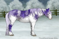 Horse Color:Watercolor White Spotted Silver Brown Chinchilla Ice Sabino Rabicano