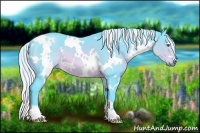 Horse Color:Watercolor White Spotted Silver Brown Chinchilla 