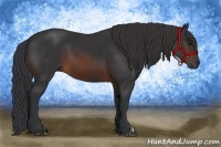 Horse Color:Brown 