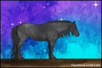 Horse Color:Black Sabino Rabicano 