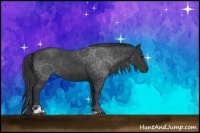 Horse Color:Black Sabino Rabicano