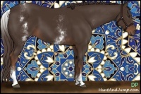 Horse Color:White Spotted Liver Chestnut Rabicano 