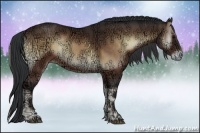 Horse Color:Brown Ice Onyx Rabicano