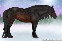 Horse Color:Brown Ice Rabicano 