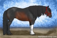 Horse Color:Brown 