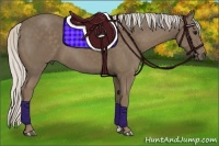 Horse Color:Silver Smoky Black 