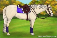 Horse Color:Gold Cream Champagne Roan 