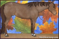 Horse Color:Liver Chestnut Appaloosa