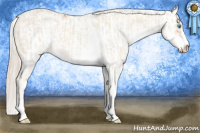 Horse Color:Cremello Sabino and Gray Cremello Sabino