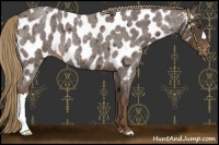 Horse Color:Liver Red Roan Near Leopard 