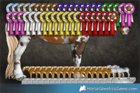 Horse Color:White Spotted Chocolate Palomino 