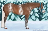 Horse Color:White Spotted Silver Bay Splash 