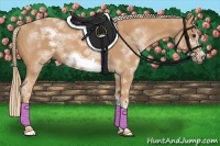 Horse Color:White Spotted Chestnut Frame