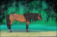 Horse Color:Bay Roan