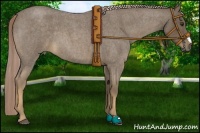 Horse Color:Chocolate Palomino Roan