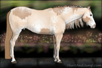 Horse Color:White Spotted Black Pearl Sabino  and White Spotted Amber Champagne Pearl Sabino 