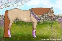 Horse Color:Red Dun Roan Splash Frame Rabicano 