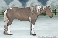 Horse Color:Silver Black Tobiano