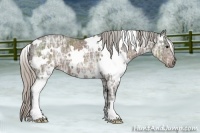 Horse Color:White Spotted Silver Black Ice 